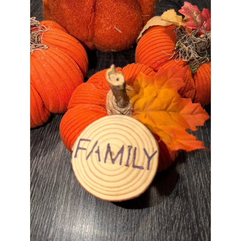 Set of 4 Fabric Pumpkins Autumn Fall Decor Orange Family Wood‎ Slice Accent